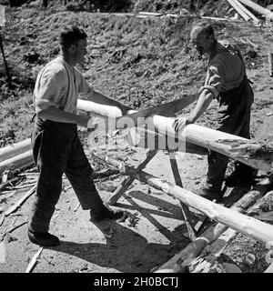 Holzfäller bei ihrer Arbeit un Baumstämmen im Schwarzwald, Deutschland 1930er Jahre. Boscaioli facendo il loro lavoro in tronchi di legno a Foresta Nera, Germania 1930s. Foto Stock