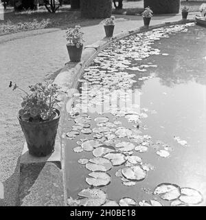 Malerischer Teich mit Seerosen a Bad Cannstatt, Deutschland 1930er Jahre. Scenic stagno con ninfee a Bad Cannstatt, Germania 1930s. Foto Stock