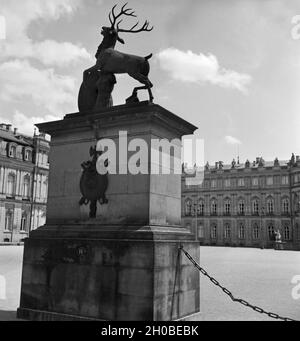 Bronzestatue eines Hirschen als Wappentier am Eingang zum Neuen Schloss di Stoccarda, Deutschland 1930er Jahre. Bronce scultura di un cervo come un animale araldico all'ingresso del nuovo castello a Stoccarda, Germania 1930s. Foto Stock