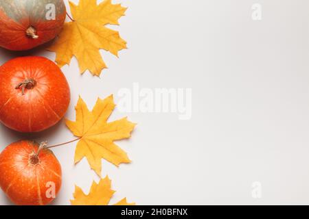 Colorate zucche arancioni e foglie d'acero autunnali su sfondo grigio chiaro. Thanksgiving Halloween concetto. Spazio di copia con vista dall'alto in posizione piana. Foto Stock