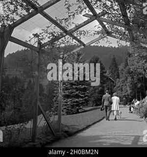 Ein Paar kommt bei einem Spaziergang aus einem Laubengang in Wildbad im Schwarzwald, Deutschland 1930er Jahre. Un paio di passeggiare attraverso un accesso al balcone Wildbad nella Foresta Nera, Germania 1930s. Foto Stock