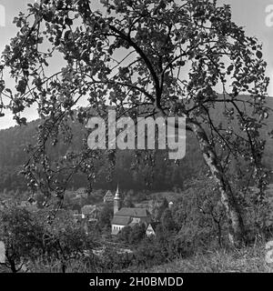 Blick durch einen Apfelbaum auf Herrenalb im Schwarzwald, Deutschland 1930er Jahre. Vista attraverso un albero di mele di Herrenalb nella Foresta Nera, Germania 1930s. Foto Stock