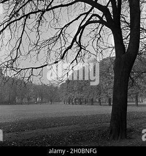 Impressione Herbstliche aus einem Grüngürtel in einer deutschen Stadt, Deutschland 1930er Jahre. Autunno impressione di uno spazio verde urbano in una città tedesca, Germania 1930s. Foto Stock