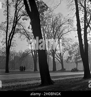 Impressione Herbstliche aus einem Grüngürtel in einer deutschen Stadt, Deutschland 1930er Jahre. Autunno impressione di uno spazio verde urbano in una città tedesca, Germania 1930s. Foto Stock