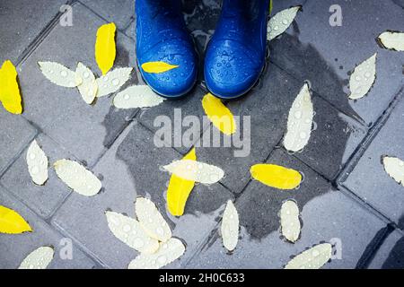 Piedi in stivali di gomma blu in piedi in una pavimentazione in calcestruzzo bagnato con foglie autunnali in pioggia con ombrello ombra. Autunno concetto di autunno Foto Stock