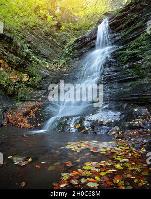 Bella cascata sulla foresta d'autunno. Flusso d'acqua e foglie d'arancio in primo piano. Sfondo della natura. Fotografia di paesaggio Foto Stock