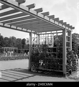 Pergola in einem Park a Chemnitz, Deutschland 1930er Jahre. Pergola in un giardino pubblico a Chemnitz, Germania 1930s. Foto Stock