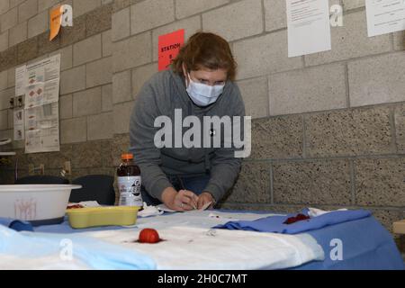 Kathryn Fekete, un pediatra con l'ospedale della Comunità dell'esercito di Weed, stima quanto sangue artificiale è presente alla stazione di perdita di sangue stimante durante la fiera di abilità di ACH di Weed Gennaio 21 al centro di Walker di Mary E. a Fort Irwin, Calif. Fekete, un Danielson, Conn. Nativo, ha partecipato all'evento insieme a più di 70 altri membri del personale ospedaliero. Foto Stock