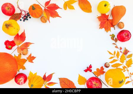 Composizione autunnale. Foglie colorate, zucca, mela, mela cotogna, pera, noci, pepe, castagne su sfondo bianco. Composizione autunnale a posa piatta con copia Foto Stock