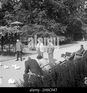 Kurgäste füttern im Kurpark von Bad Homburg die Tauben, Deutschland 1930er Jahre. Spa gli ospiti alimentazioni piccioni a Bad Homburg spa resort, Germania 1930s. Foto Stock