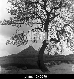 Auf der Burg Hohenzollern, Stammsitz des ehem. Regierenden Kaiserhauses, zwischen Hechingen und Bisingen, Deutschland 1930er Jahre. Hohenzollern castello, sede ancestrale dell'ultima famiglia imperiale tedesca, Germania anni trenta. Foto Stock