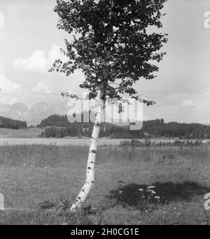 Ein Ausflug zum Schwarzsee bei Kitzbühel in Tirolo, Deutsches Reich 1930er Jahre. Una gita al lago Schwarzsee vicino a Kitzbühel in Tirolo, Germania 1930s. Foto Stock