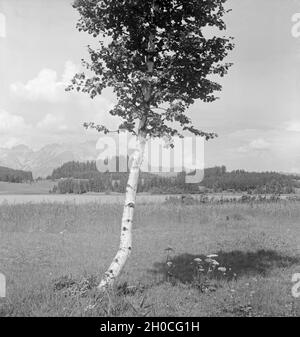 Ein Ausflug zum Schwarzsee bei Kitzbühel in Tirolo, Deutsches Reich 1930er Jahre. Una gita al lago Schwarzsee vicino a Kitzbühel in Tirolo, Germania 1930s. Foto Stock