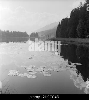 Ein Ausflug zum Schwarzsee bei Kitzbühel in Tirolo, Deutsches Reich 1930er Jahre. Una gita al lago Schwarzsee vicino a Kitzbühel in Tirolo, Germania 1930s. Foto Stock