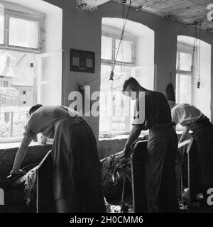 In der Weissgerberei von Friedrich Trautwein a Schiltach im Schwarzwald, Deutschland 1930er Jahre. All'interno di Friedrich Trautwein's tawery a Schiltach nella Foresta Nera, Germania 1930s. Foto Stock