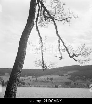 Ein Ausflug in den Südschwarzwald, Deutsches Reich 1930er Jahre. Un viaggio per la Foresta Nera meridionale, Germania 1930s. Foto Stock