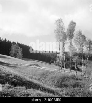 Ein Ausflug in den Südschwarzwald, Deutsches Reich 1930er Jahre. Un viaggio per la Foresta Nera meridionale, Germania 1930s. Foto Stock