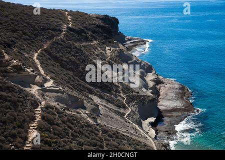 Clif a Callo salvaje, Tenerife Isole Canarie durante la stagione invernale Foto Stock