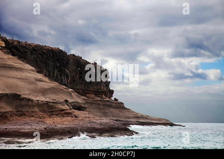 Clif a Callo salvaje, Tenerife Isole Canarie durante la stagione invernale Foto Stock