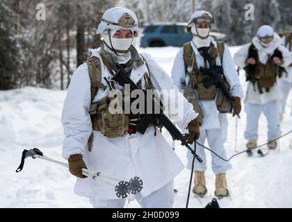 I paracadutisti dell'esercito assegnati alla sede centrale e alla sede centrale della compagnia, 1° Battaglione, 501° Reggimento di fanteria, 4° Team di combattimento di Brigata di fanteria (Airborne), 25° Divisione di fanteria, US Army Alaska, si preparano ad iniziare un esercizio di skijoring alla Joint base Elmendorf-Richardson, Alaska, 27 gennaio 2021. La formazione ha valutato le abilità di soldato artico di più squadre di paracadutisti ‘1 Geronimo’ per selezionare il gruppo migliore per competere nei prossimi Giochi invernali Artici USARAK 2021. Foto Stock