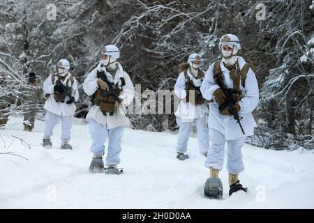 I paracadutisti dell'esercito assegnati alla sede centrale e alla sede centrale della compagnia, 1° Battaglione, 501° Regiment della fanteria, 4° Team di combattimento della Brigata di fanteria (Airborne), 25° Divisione di fanteria, US Army Alaska, conducono una pattuglia invernale smontata alla Joint base Elmendorf-Richardson, Alaska, 27 gennaio 2021. La formazione ha valutato le abilità di soldato artico di più squadre di paracadutisti ‘1 Geronimo’ per selezionare il gruppo migliore per competere nei prossimi Giochi invernali Artici USARAK 2021. Foto Stock