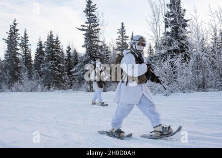 I paracadutisti dell'esercito assegnati alla sede centrale e alla sede centrale della compagnia, 1° Battaglione, 501° Regiment della fanteria, 4° Team di combattimento della Brigata di fanteria (Airborne), 25° Divisione di fanteria, US Army Alaska, conducono una pattuglia invernale smontata alla Joint base Elmendorf-Richardson, Alaska, 27 gennaio 2021. La formazione ha valutato le abilità di soldato artico di più squadre di paracadutisti ‘1 Geronimo’ per selezionare il gruppo migliore per competere nei prossimi Giochi invernali Artici USARAK 2021. Foto Stock