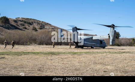 Marines USA con Bravo Company, Battalion Landing Team 1/1, 11th Marine Expeditionary Unit (MEU), bordo di un MV-22 Osprey assegnato Marine Medium Tiltrotor Squadron (VMM) 165 (rinforzato), 11th MEU, durante un recupero tattico di aerei e personale (TRAPPOLA) esercizio al Marine Corps base Camp Pendleton, California, 27 gennaio 2021. L'undicesimo MEU mantiene una FORZA DI INTRAPPOLAMENTO utilizzata per recuperare il personale e le attrezzature abbattuti, mentre è dispiegato. Foto Stock