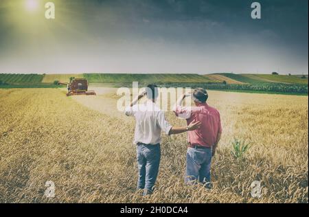 Due coltivatori che si levano in piedi su campo di grano al raccolto Foto Stock