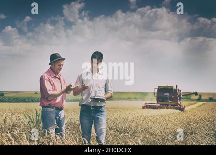 Due coltivatori che si levano in piedi su campo di grano al raccolto Foto Stock