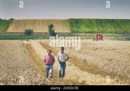 Due coltivatori che si levano in piedi su campo di grano al raccolto Foto Stock