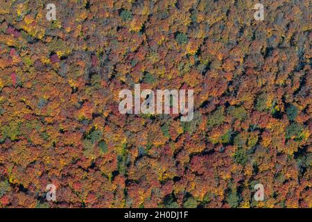 Canada, Quebec, Mont Tremblent NP Foto Stock