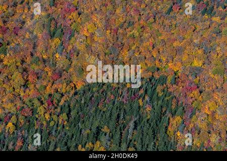 Canada, Quebec, Mont Tremblent NP Foto Stock