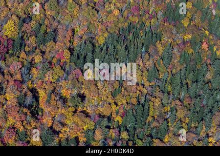 Canada, Quebec, Mont Tremblent NP Foto Stock