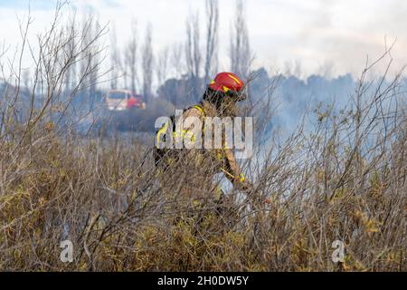 I vigili del fuoco hanno messo fuori un fuoco nella foresta Foto Stock