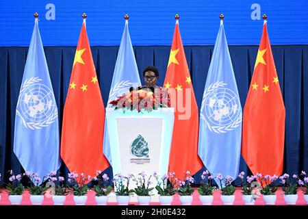 (211012) -- KUNMING, 12 ottobre 2021 (Xinhua) -- Elizabeth Maruma Mrema, segretario esecutivo della Convenzione sulla diversità biologica, ha tenuto un discorso durante la cerimonia di apertura del quindicesimo incontro della Conferenza delle parti della Convenzione sulla diversità biologica (COP15) a Kunming, provincia di Yunnan, nella Cina sudoccidentale, il 11 ottobre 2021. PER ANDARE CON XINHUA TITOLI DI OCT. 12, 2021. (Xinhua/Chen Yehua) Foto Stock