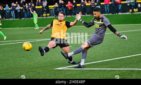 Rushall Olympic / Tamworth FC Foto Stock