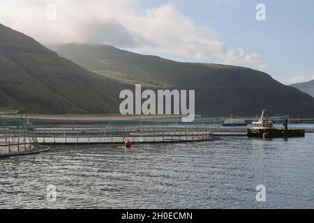 Allevamento di salmoni nella baia di Vestmanna, Streymoy Island, Faroe Islands, Scandinavia, Europe. Foto Stock