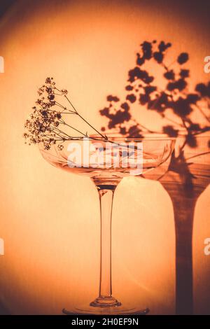 Bicchiere di champagne con fiore a spirale contro la parete illuminata Foto Stock