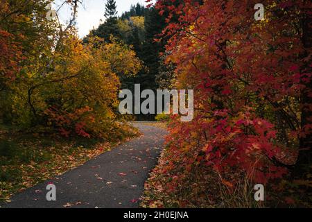 American Fork Canyon, Utah - Ottobre 2021 Foto Stock