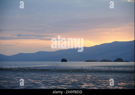 Alba sul lago Natron con fenicotteri , Lago Natron, Ngorongoro Conservation Area, Tanzania, Africa Foto Stock