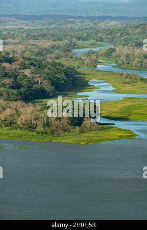 La foresta pluviale tropicale di Gamboa lungo il canale di Panama, il lago Gatun, Panama, America Centrale Foto Stock