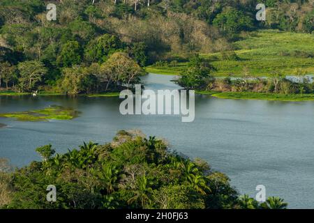 La foresta pluviale tropicale di Gamboa lungo il canale di Panama, il lago Gatun, Panama, America Centrale Foto Stock