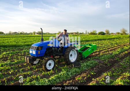 Oblast di Kherson, Ucraina - 16 maggio 2021: Il coltivatore scava un raccolto di patate con un digestivo. Raccogliere le prime patate all'inizio della primavera. Agricoltura e terreni agricoli Foto Stock