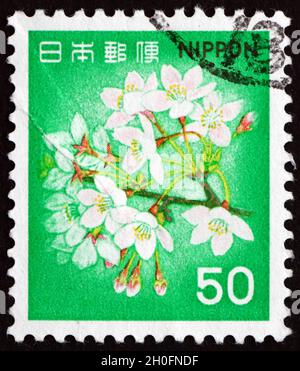 GIAPPONE - CIRCA 1980 un francobollo stampato in Giappone mostra Cherry Blossoms, albero fiorente, circa 1980 Foto Stock