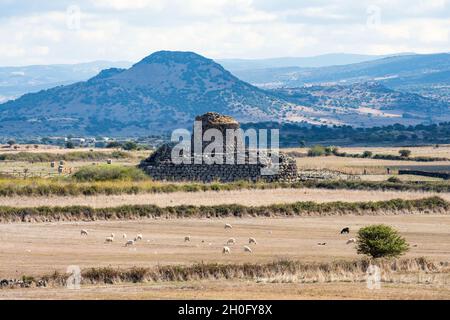 Paesaggio mozzafiato con l'antico nuraghe Santu Antine e alcune pecore al pascolo in primo piano. Foto Stock