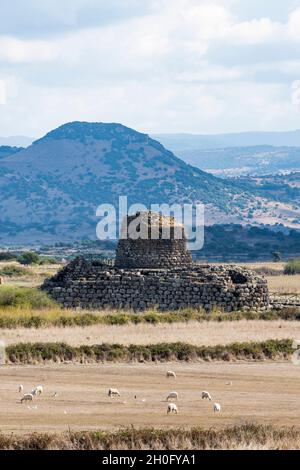 Paesaggio mozzafiato con l'antico nuraghe Santu Antine e alcune pecore al pascolo in primo piano. Foto Stock