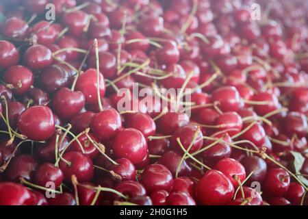 Ciliegie dolci rosse mature sul mercato Foto Stock