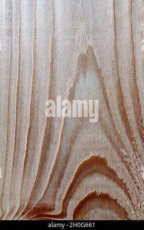 legno chiaro con grana interessante Foto Stock