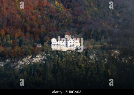 Castello di Vaduz - Vaduz, Liechtenstein Foto Stock