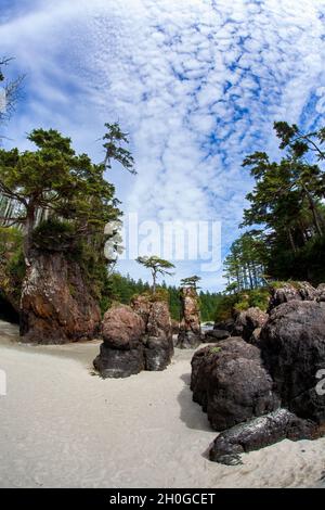 Bella San Josef Bay, Cape Scott Provincial Park, Vancouver Island, BC, Canada Foto Stock